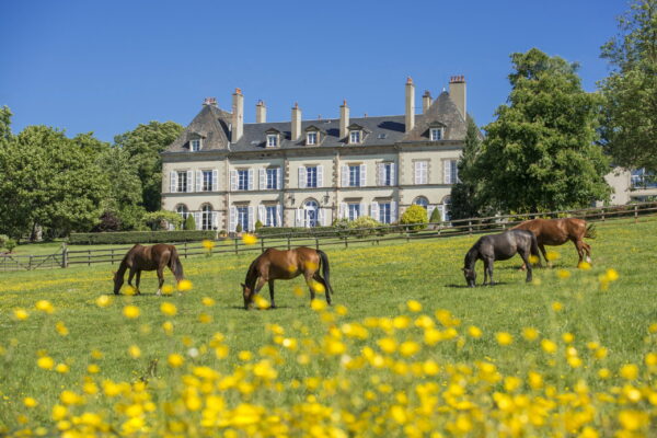 Château d'Ygrande.