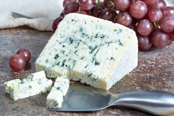 Piece of Blue Auvergne semi-hard AOP French blue cheese made from raw cow milk in Auvergne, France served as dessert with grapes